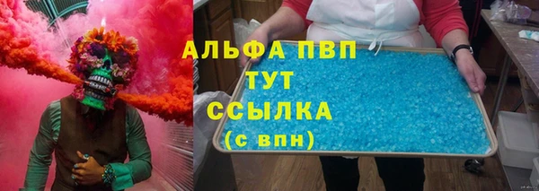 стаф Белокуриха